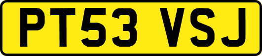 PT53VSJ