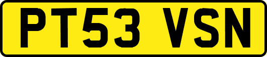 PT53VSN