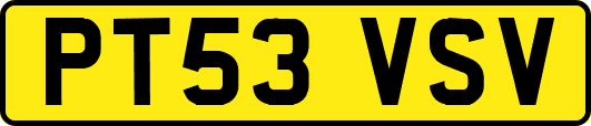 PT53VSV
