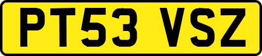 PT53VSZ