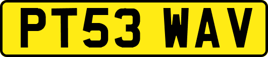 PT53WAV