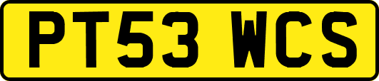 PT53WCS