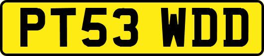 PT53WDD