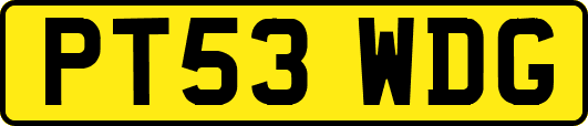 PT53WDG