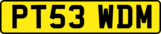 PT53WDM