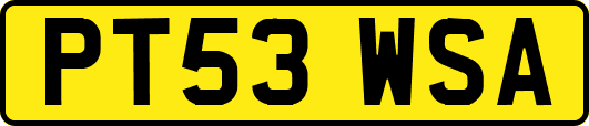 PT53WSA