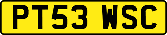 PT53WSC