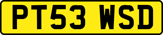 PT53WSD
