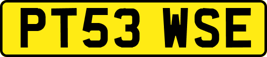 PT53WSE