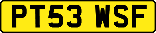 PT53WSF