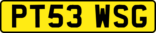 PT53WSG