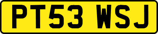 PT53WSJ