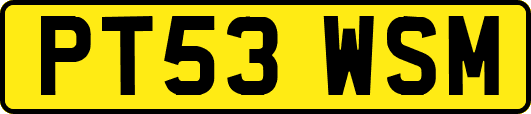 PT53WSM