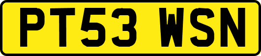 PT53WSN