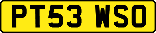 PT53WSO