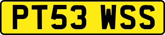 PT53WSS
