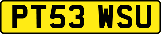 PT53WSU