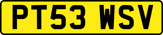 PT53WSV