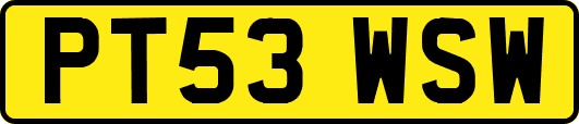 PT53WSW