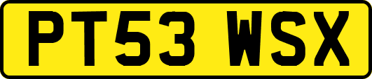 PT53WSX