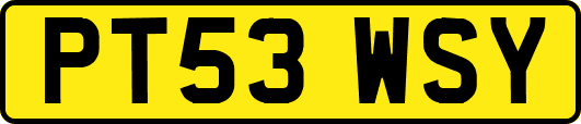 PT53WSY