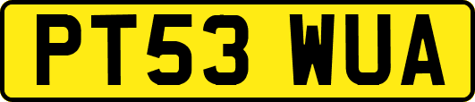PT53WUA