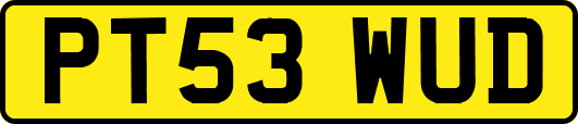 PT53WUD