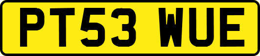 PT53WUE