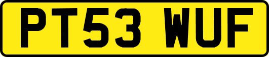 PT53WUF