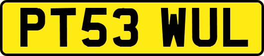PT53WUL