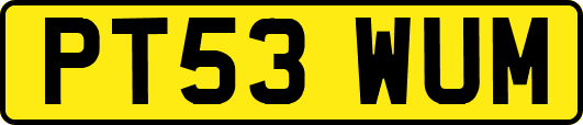PT53WUM