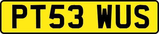 PT53WUS