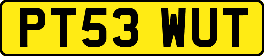 PT53WUT