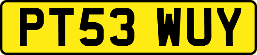 PT53WUY