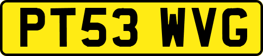 PT53WVG