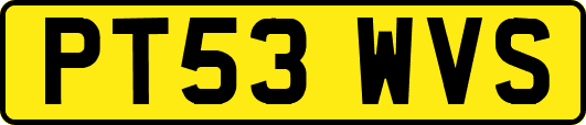 PT53WVS