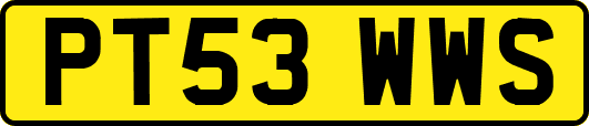 PT53WWS