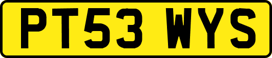 PT53WYS