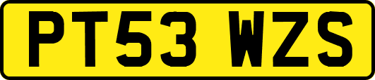 PT53WZS