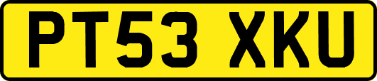 PT53XKU