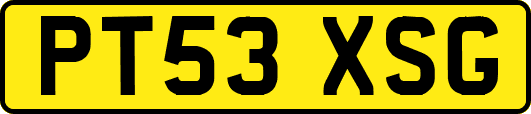 PT53XSG