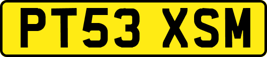 PT53XSM