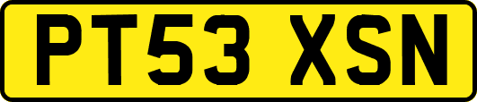 PT53XSN