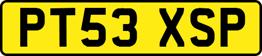 PT53XSP