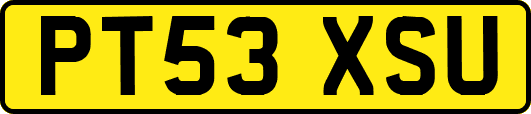 PT53XSU