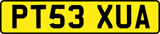 PT53XUA