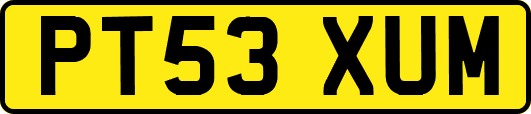 PT53XUM