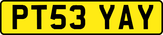 PT53YAY