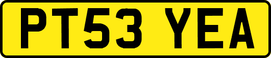 PT53YEA
