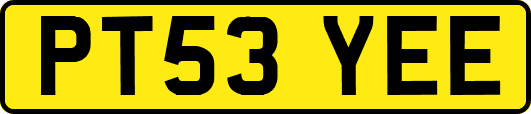 PT53YEE